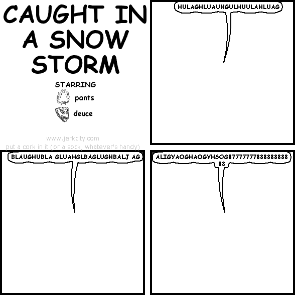 CAUGHT IN A SNOWSTORM