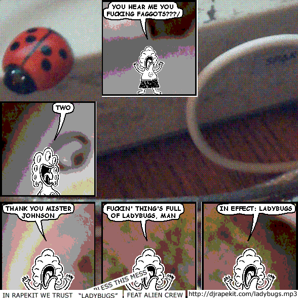 LADYBUGS