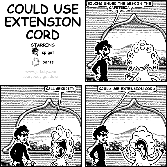 could use extension cord